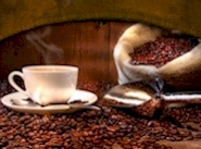 coffee wholesale sales in New York